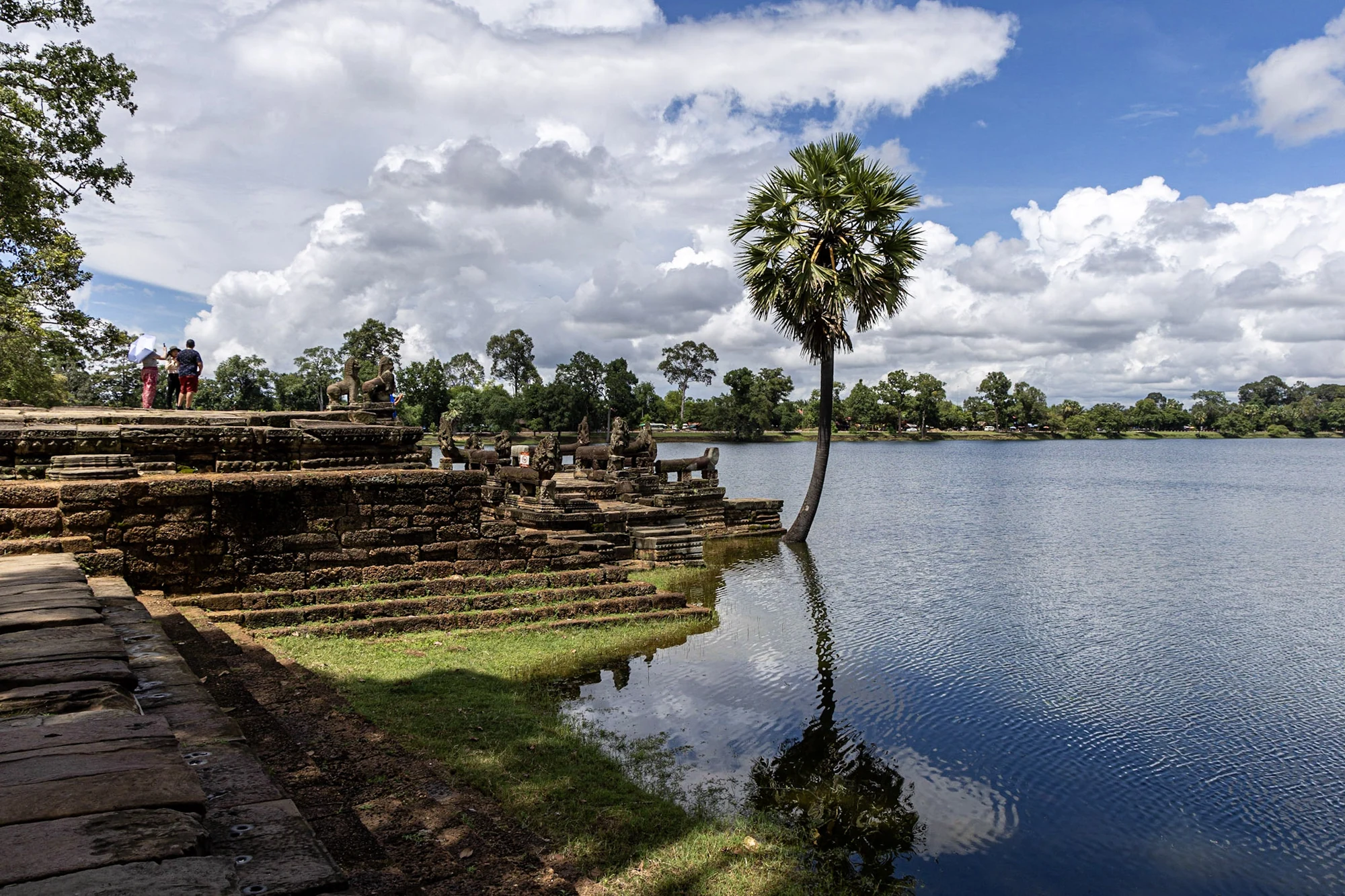 A palm reflected in water beside a stepped stone terrace.