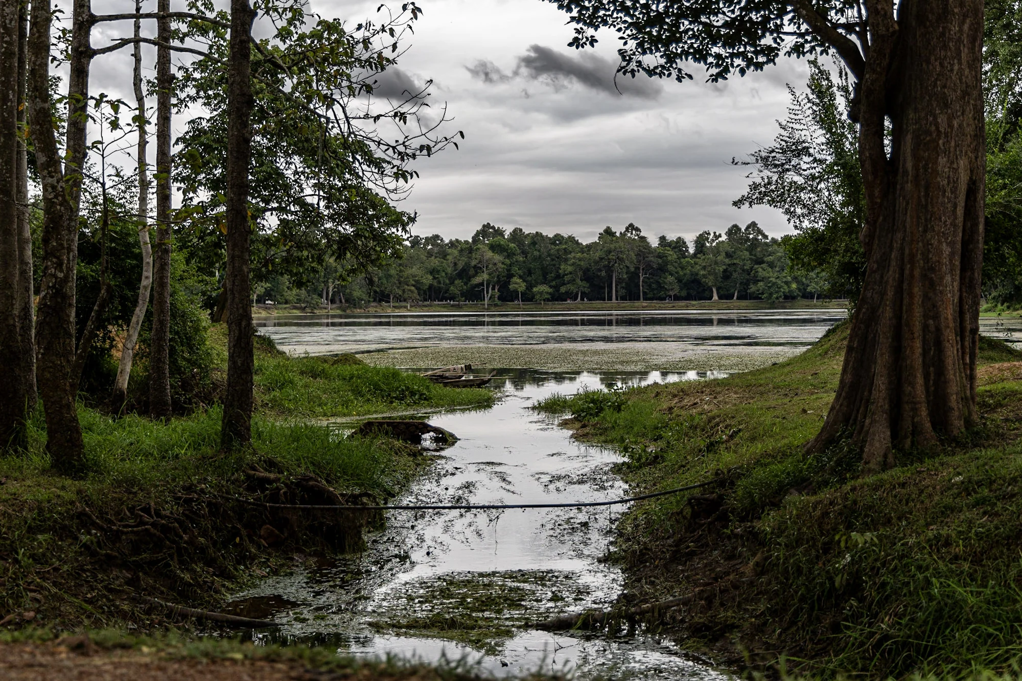 A narrow water channel between trees leading towards a broad moat.