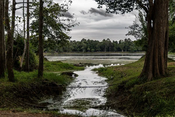 A narrow water channel between trees leading towards a broad moat.