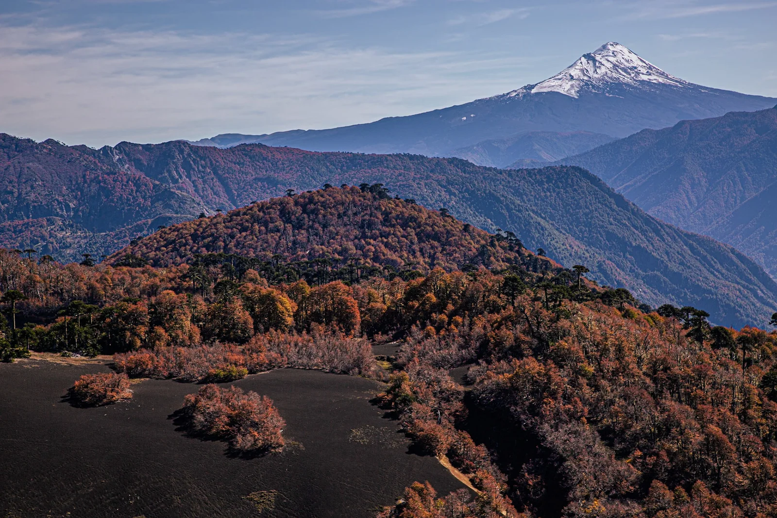 A snow-capped mountain rising above wooded hills.