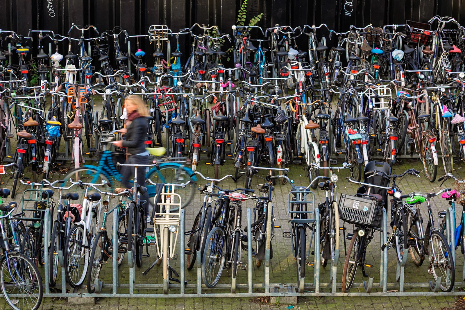 Rows of bicycles parked in a crowded cycle rack.