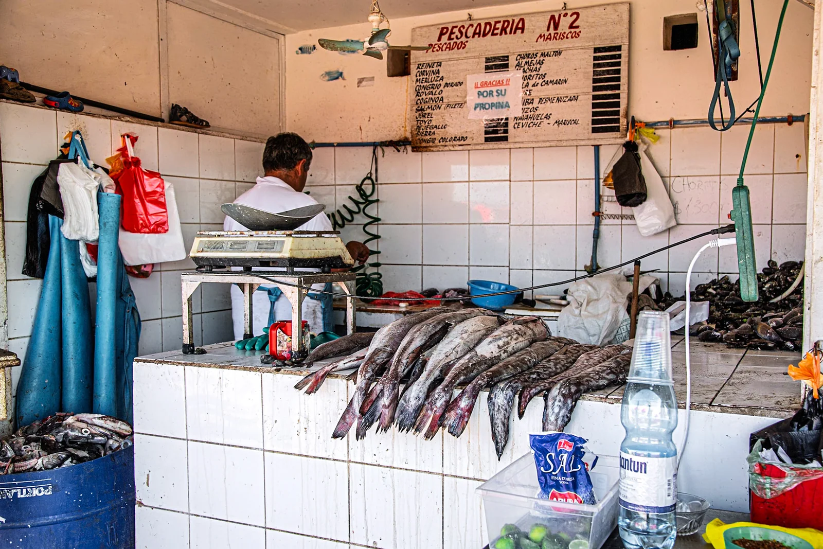 A fishmonger working behind a tiled counter displaying fresh fish.