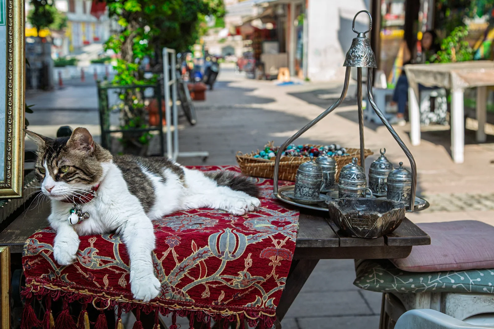A white dog resting on a red patterned bench outside a café.