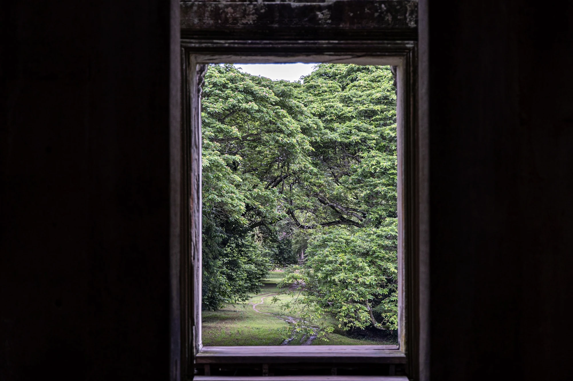 Green trees framed by a window inside a dark temple room.