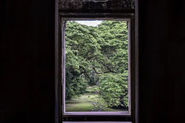 Green trees framed by a window inside a dark temple room.